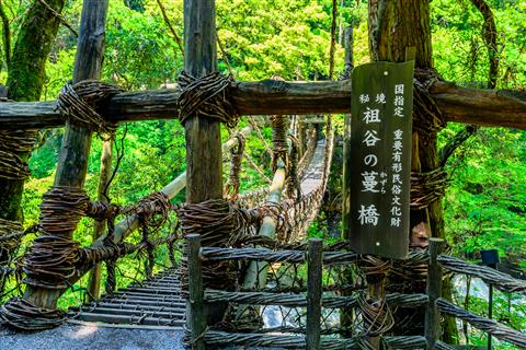 祖谷のかずら橋